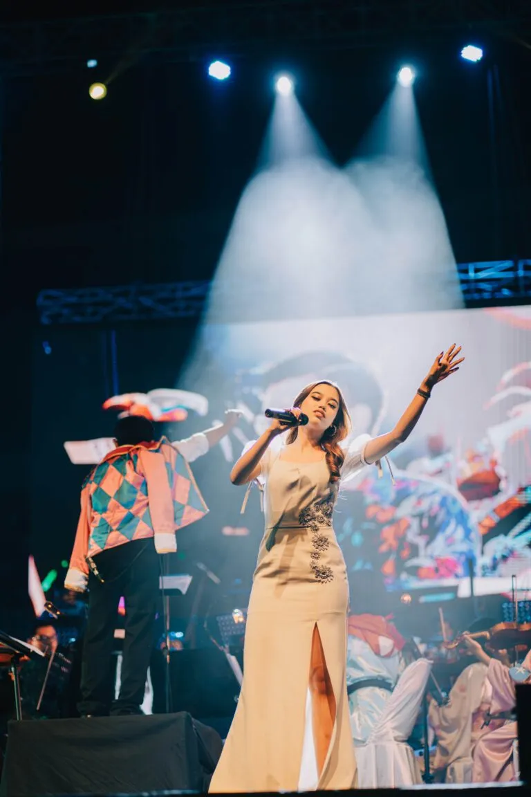 Orchestra performance